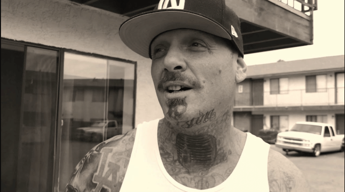 DL Down3r Net Worth