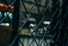 call defense compliance network